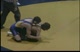 stevie v tattnall