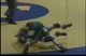 nic v tattnall