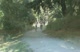 2009 WWU Lake Padden 10k