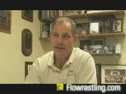 Atitude - Wrestling video Atitude