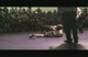 Honey v. Battles