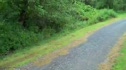 VCXC Preseason 3k 2009