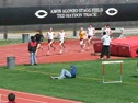 Dom 1500m