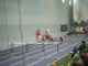 Dempsey Invite Heptathlon 60 Meter Hurdles