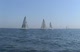 Race #1 Start, Circle A GL70's