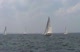 Race #5 Start Farr 40's