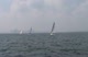 Race #5 Start PHRF 3