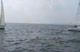 Race #6 J105 Start