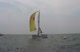 Race 10, the 40.7's