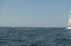 Race #2 First Windward Mark Rounding GL70