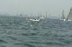 Race #8 Start Farr 40