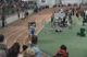 M 4x400 H05