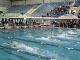 Women's Ivy 200 Freestyle Relay