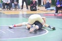 Collins (Gilroy) v O'Brien (Petaluma)