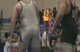 Dan Colbert 215 District Champion