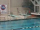 Diving- 8th Place- Dylan Parham-… Diving- 8th Place- Dylan Parham- Columbia Hickman