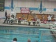 Diving - Devan Flower - Marshfield - 4th place