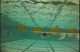backstroke clinic 0509 (Gold & Blue)
