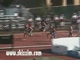 Jr. Men's 800m - 2003 USATF Outdoor Nationals