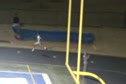 Brewer Varsity 4x2