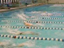Men's 400 IM, MSU/SIU Dual meet @ SIU in 2006