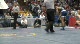 103lbs Brian Realbuto Somers- vs. Damon McQueen Huntington-
