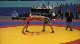 120 kg r1 Otarchiev vs Bedoev