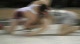 125lbs Pat Owens Germantown- vs. Garrett Frey Blair-