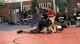 125 lbs hs r2, Anthony Jaramillo, Northview, Vs Ryan Fillingame, Sultana,