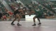 133 lbs Franklin Gomez, Michigan State, vs Joey Lazer, Northern Iowa,