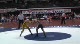 133lbs Danny Mitcheff Kent State- vs. Matt Fisk Lehigh-
