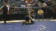 135lbs Darrick Chavez Pamona- vs. Ethan Owens Grundy-