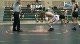 140lbs Billy Osborne Team Michigan Blue- vs. Greg Amos Missouri Storm-
