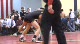 145lbs Jarret Heoppner Apple Valley-MN vs. Tayler Eichinger Ballard Huxley-IA