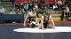 149lbs Matt Kyler Army- vs. Bryce Saddoris Navy-