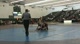 149lbs Eric Terrazas Illinois- vs. Mark Tsikerdanos West Virginia-