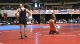 149lbs Peter Ferrara Virginia- vs. Bryce Saddoris Navy-