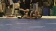 157lbs Gregor Gillespie Edinboro- vs. Joel Ahern Navy-