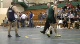 160lbs Nick Sulzer St Edwards- vs. Bryce Caiazzo Wyoming Seminary-