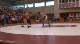 174lbs Steve Anceravage Cornell- vs. Brandon Lapp Sacred Heart-