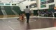 184lbs Andy OLoughlin Northern Iowa- vs. Jesse Boyden Rutgers-