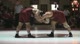 285lbs David Zabriskie ISU- vs. Nathan Fernandez OU-