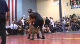 285lbs Herold Delancy Apple Valley-MN vs. Chris Chaudt Ballard Huxley-IA
