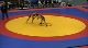 55 kg r2 Lachinov vs Usekov