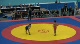 55 kilo 3rd place Ashot Terteryan vs Nariman Israpilov