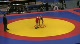 60 kg qf Bogomoev vs Vilmov