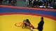 60 kilo consolation