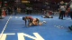 64lbs Joshua Heil -OH vs. Jabaci Moody -IL