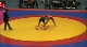 66 kg r1 Innokentiev vs Stepanenko