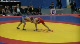66 kg sf